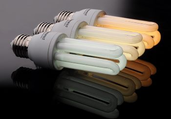 energy-saving compact fluorescent light bulbs